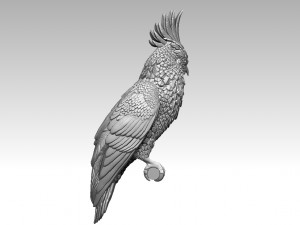 Parrot 3D 打印模型