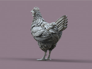 Hen 3Dプリントモデル
