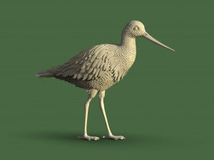 Wading bird 3Dプリントモデル