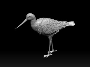 Wading bird 3Dプリントモデル