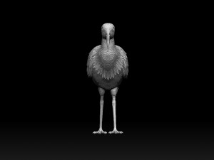 Wading bird 3Dプリントモデル