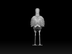 Wading bird 3Dプリントモデル