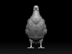 Partridge 3D Print Model
