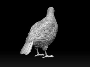 Partridge 3D Print Model