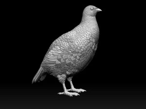 Partridge 3D Print Model