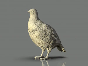 Partridge 3D Print Model