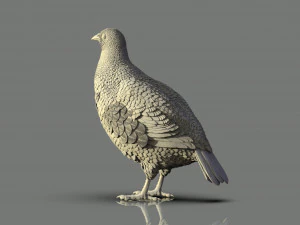Partridge 3D Print Model