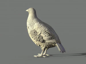 Partridge 3D Print Model
