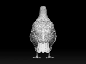Partridge 3D Print Model