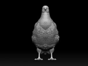 Partridge 3D Print Model