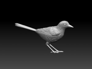 Wagtail Modelo de Impressão 3D
