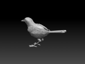 Wagtail 3D 프린트 모델