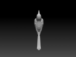 Wagtail 3D 프린트 모델