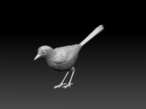 Wagtail 3D 프린트 모델