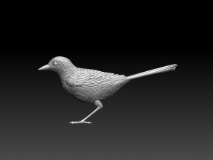 Wagtail 3D 프린트 모델