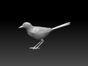 Wagtail 3D 프린트 모델
