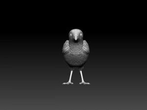 Wagtail 3D 프린트 모델