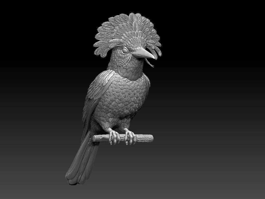 Amazonian royal flycatcher 3D Print Model .c4d .max .obj .3ds .fbx .stl .blend 