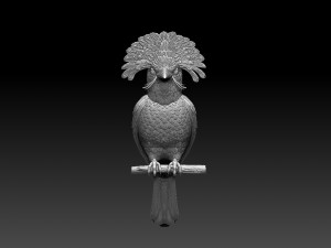Amazonian royal flycatcher Modelo de Impressão 3D