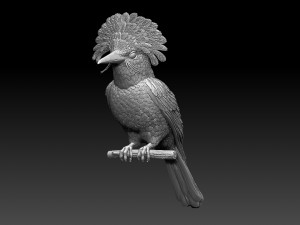 Amazonian royal flycatcher Modelo de Impressão 3D