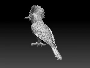 Amazonian royal flycatcher 3D Print Model