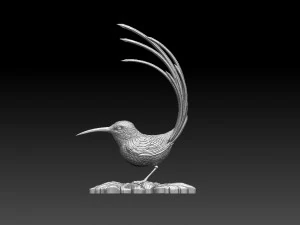 Colibri humming bird 3D Print Model