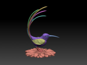 Colibri humming bird Model Cetak 3D