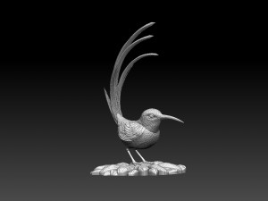 Colibri humming bird Model Cetak 3D