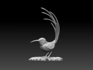 Colibri humming bird Model Cetak 3D