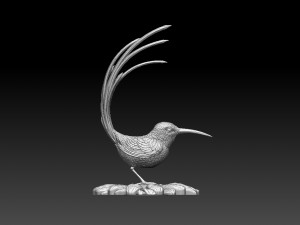 Colibri humming bird Model Cetak 3D