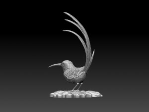 Colibri humming bird Model Cetak 3D