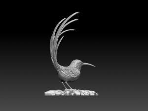 Colibri humming bird Model Cetak 3D