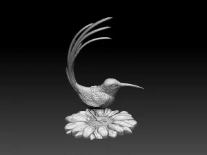 Colibri humming bird 3D Print Model