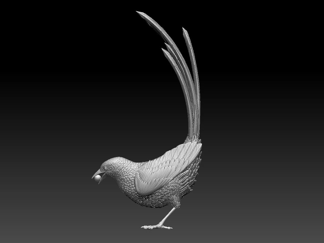 MAGPIE bird 3D Print Model .c4d .max .obj .3ds .fbx .stl .blend 