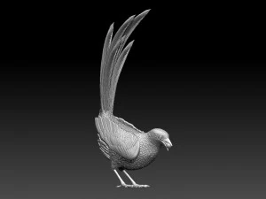 MAGPIE bird 3D Print Model