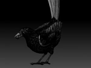 MAGPIE bird 3D Print Model