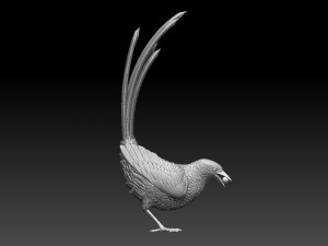 MAGPIE bird 3D 打印模型