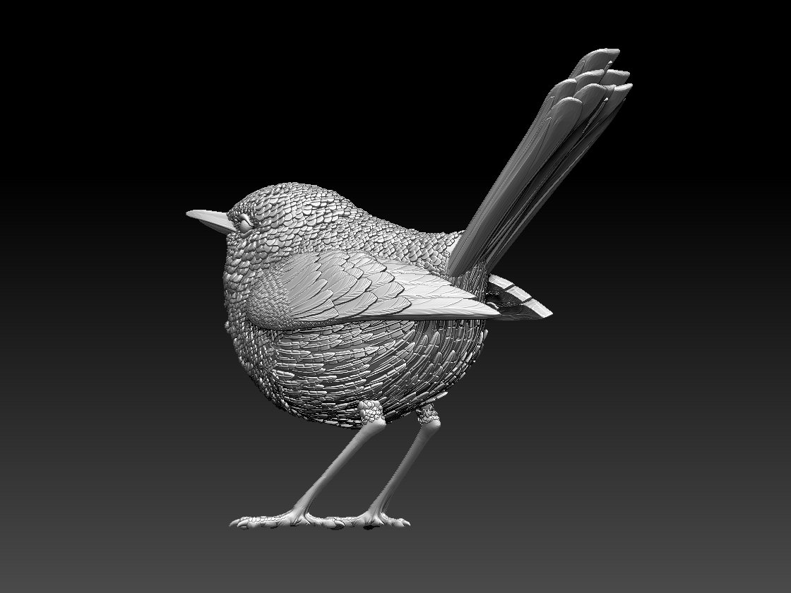Bird 3d model