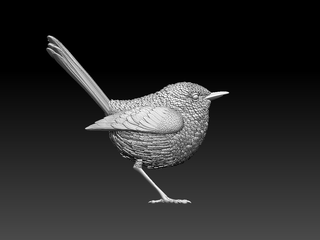 Bird 3d model