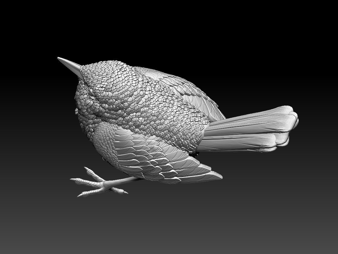 Bird 3d model
