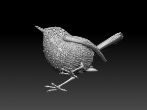WREN bird Model Cetak 3D
