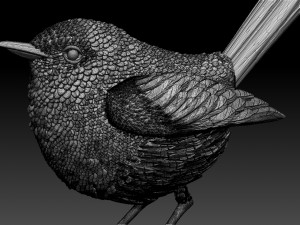 WREN bird Model Cetak 3D