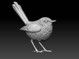 WREN bird Model Cetak 3D