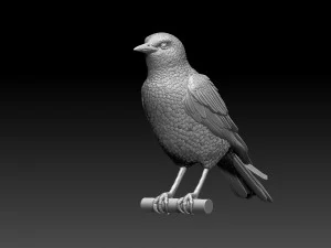Starling 3D Print Model