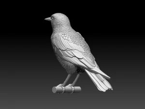 Starling 3D Print Model