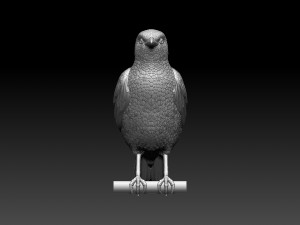 Starling Model Cetak 3D