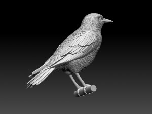 Starling Model Cetak 3D