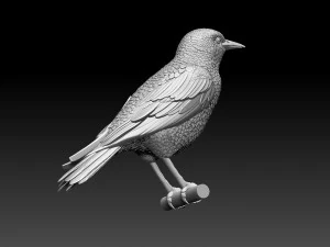 Starling 3D Print Model