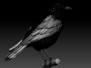 Starling 3D Print Model