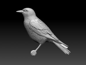 Starling Model Cetak 3D